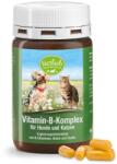 Sanct Bernhard Capsule vitamina B complex Sanct Benhard pentru caini si pisici 120buc (XTE201787)