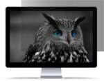  NATEC Owl keret nélküli betekintést gátló szűrő 60, 5 cm-es (23, 8 hüvelykes) monitorhoz