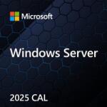 Microsoft Windows Server CAL 2022 Klientská přístupová licence (CAL) 1 licencí