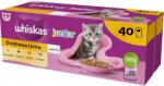 Whiskas Junior Baromfi zselében - nedves macskaeledel - 40 x 85 g