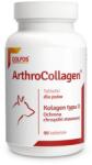 DOLFOS ArthroCollagen 90 tab. Colagen pentru articulatii caini