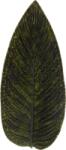 COSTA NOVA Strelizia Leaf Riviera 39, 8 cm, sötétzöld