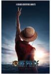 Pyramid One Piece Luffy (PP2511937)