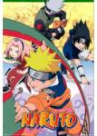Grupo Erik Naruto: Team - poszter (GPE6020)