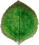 COSTA NOVA Riviera Hydrangea Leaf 17, 2 cm, világoszöld
