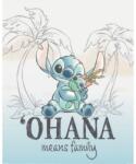 Pyramid Disney Lilo & Stitch Ohana Means Family (MPP2501534)