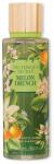 Victoria's Secret Melon Drench 250 ml spray de corp pentru femei