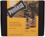 Proraso Wood & Spice Special Beard Care Set set: șampon pentru barbă Wood & Spice 200 ml + ulei de barbă Wood & Spice 30 ml pentru bărbați