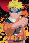 Pyramid Naruto: Ninja (PP2511253)