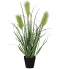 Mica Decorations Műnövény sás cserépátmérő 10 cm magasság 53 cm átmérő 30 cm (1005556)