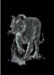 MAMMUT Tigris, Mini ezüst képkarcoló (130006)