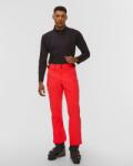 Descente Pantaloni De Schi Pentru Bărbați Descente Swiss Pants - sportofino - 1 950,00 RON