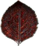 COSTA NOVA Riviera Hydrangea Leaf 21, 8 x 19, 1 cm, Vigne Red