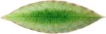 COSTA NOVA Riviera Laurel Leaf 18 cm, verde deschis