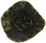 COSTA NOVA Leaf Riviera 11 cm, verde închis Castron