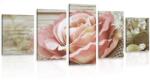 Dovido Tablou 5-piese trandafir vintage elegant - 100x50