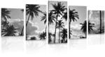 Dovido Tablou 5-piese palmieri de cocos pe plajă în design alb-negru - 150x75