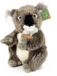 Ursuleț koala de pluș 22 cm
