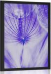 Dovido Poszter pitypang lila kivitelben - 60x90 black