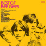 Audio Monkey Disc Vinil The Bee Gees - Best Of (602577959370)
