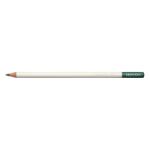 Tombow Цветен молив Irojiten scouring rush (CI-REX3)