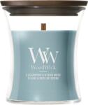 WoodWick Lumânare mică WoodWick Core Cedarwood & Ocean Moss (2238137)