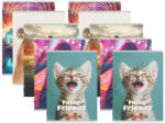 Herlitz Set 10 caiete A5 Herlitz, 48 file, 70 g/mp, dictando, Motiv Megamix (400211729-10)