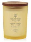 Chesapeake Bay Parfumuri pentru casa Strength & Energy Candle ( medium tumbler )