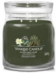 Yankee Candle Parfumuri pentru casa Silver Sage & Pine Signature Candle