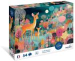 Sentosphère SENTOSPHERE Puzzle pentru copii cu povestea Pădurea fermecată 54 piese (SNT7810) Puzzle