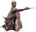 Nemesis Now Harry Potter Voldemort Avada Kedavra 32cm Figurina