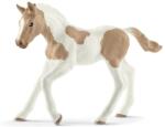 Schleich Paint Horse Foal (13886) Figurina