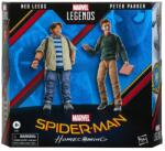 Hasbro Marvel Spider Man Homecoming Legends Series Ned Leeds & Peter Parker 15cm Figurina