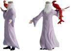 Schleich Harry Potter Dumbledore & Fawkes Figurina