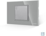 Luxion Intrerupator Simplu Cap Cruce Mecanic LUXION cu Rama din Sticla, Standard Italian, 2/3M - culoare gri
