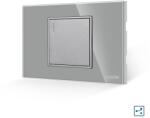 Luxion Intrerupator Simplu Cap Scara Mecanic LUXION cu Rama din Sticla, Standard Italian, 2/3M - culoare gri