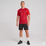 PUMA Спортен комплект teamcup 26 pro tr - 659167-01 / 658643-03