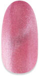 NiiZA Gel Polish 7ml - 278 cat eye