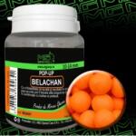 MG special carp Pop-Up Belachan 10-14mm