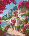 Figured Art Set pictura pe numere, cu sasiu, Alee inflorita in Capri, 40x50 cm (FA10729-Y)