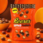 Reese’s Dipped Peanuts (90 g)