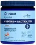 Trace Minerals Creatine + Electrolytes Hydro Pack | Sugar-Free [201~240 грама] Диня