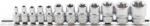 BGS technic Set chei tubulare Profil E | 6, 3 mm (1/4") / 10 mm (3/8") | E4 - E20 | 12 piese (BGS 2038) (2038) Cheie tubulara
