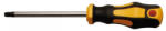 BGS DIY Şurubelniţă | Profil T (pentru Torx) T40 | Lungime lamă 125 mm (BGS 7844-T40)