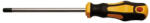BGS DIY Şurubelniţă | Profil T (pentru Torx) T45 | Lungime lamă 150 mm (BGS 7844-T45)