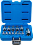 BGS technic Set biţi | 6, 3 mm (1/4") / 10 mm (3/8") / 12, 5 mm (1/2") | hexagon interior 2 - 14 mm | 13 piese (BGS 74257) (74257) Burghiu