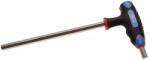 BGS technic Şurubelniţă cu mâner T şi lamă laterală | hexagon interior 10 mm (BGS 4010-9) (4010-9) Cheie imbus