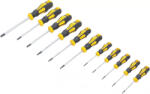 BGS DIY Set şurubelniţe | Profil T (pentru Torx) T6 - T40 | 11 piese (BGS 7844) (7844)