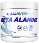 ALLNUTRITION Beta Alanine, fresh, 250 g, AllNutrition