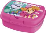 Stor Paw Patrol, cutie pentru pranz, Girl Superpowers